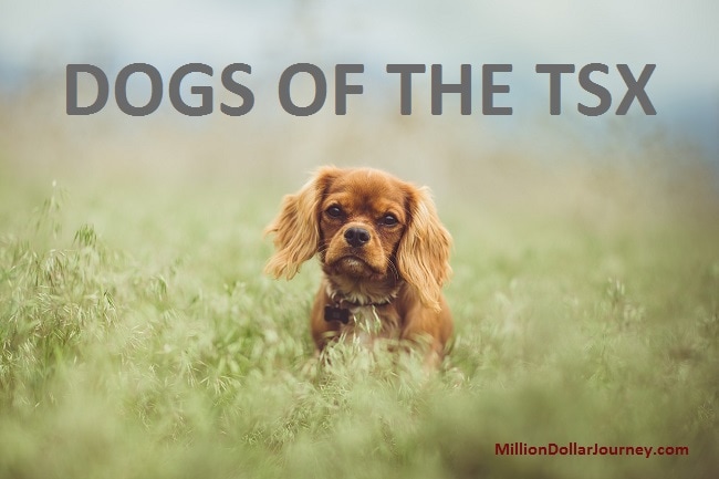 dogs of the tsx
